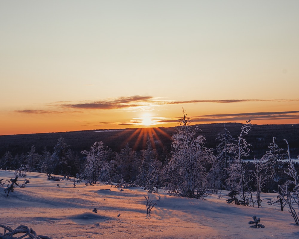 Polar night in Rovanemi mid December.