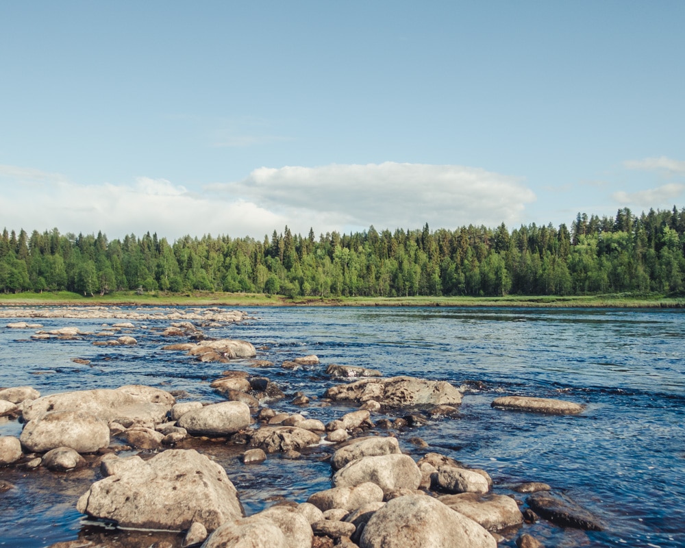 13.6.2021 Tikkasenkari at Kemijoki.