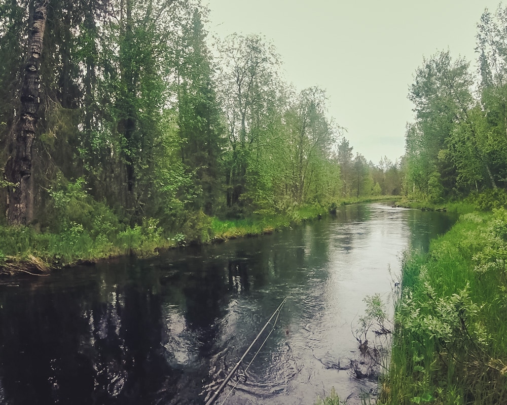 17.6.2021 River fishing with lot of mosquitoes.