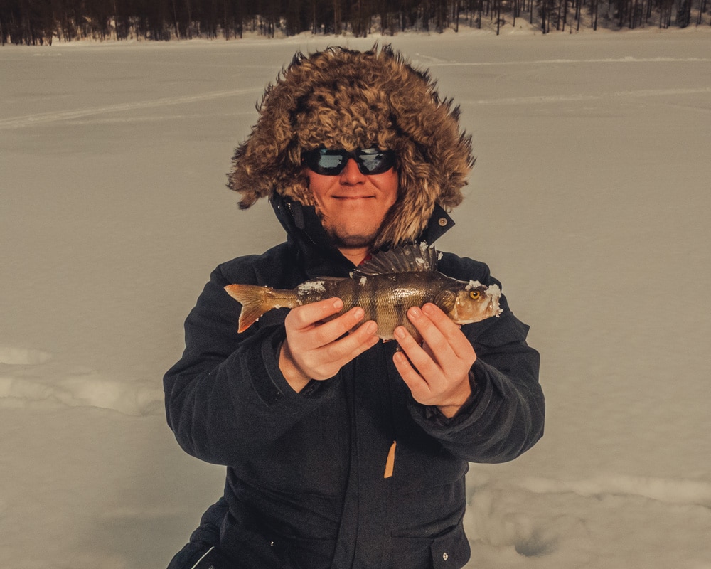 19.4.2020 Man catching European perch.