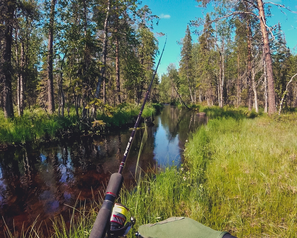 19.6.2021 Toramojoki in Rovaniemi Finland.
