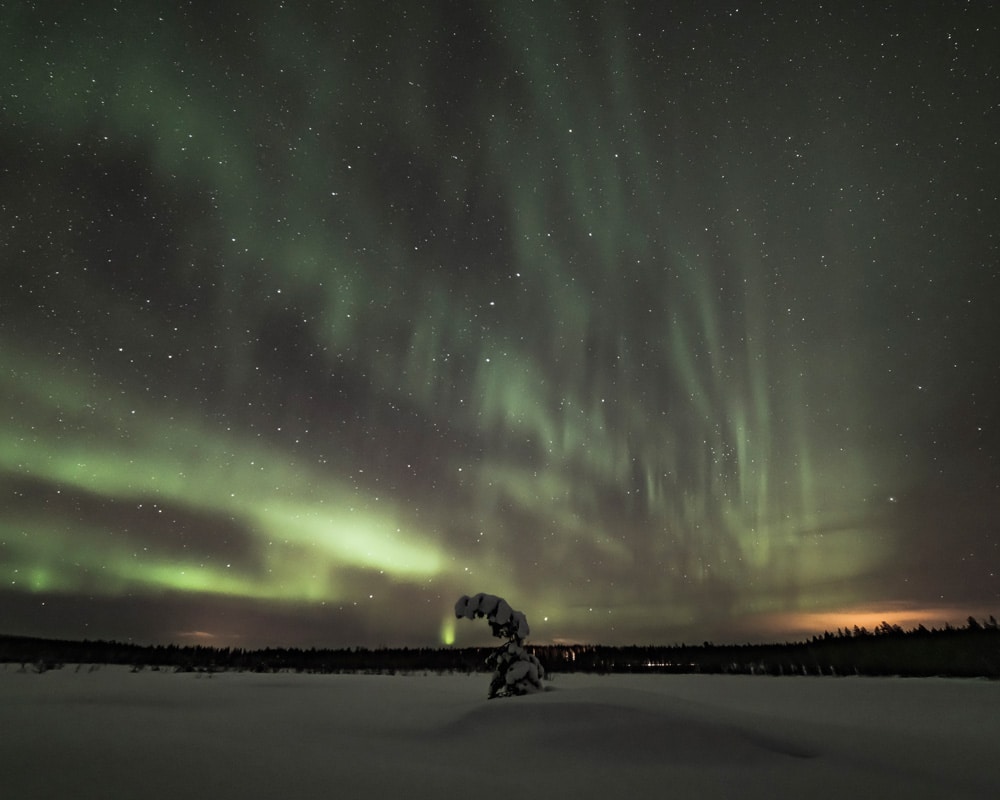 21.1.2020 black northern lights