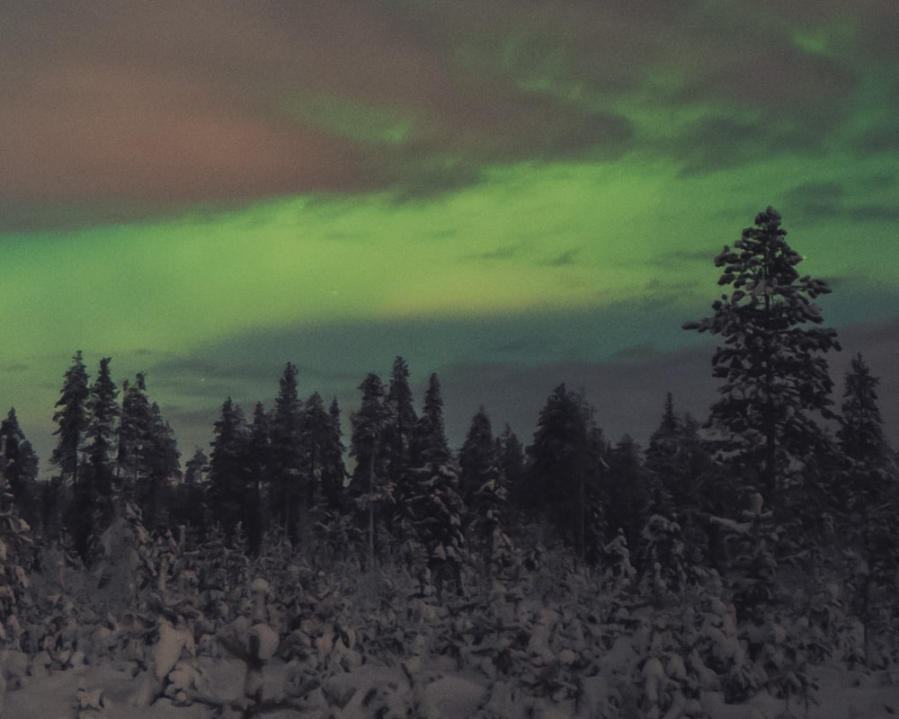 21.12.2021 northern lights at Patokoski, Finnish Lapland.