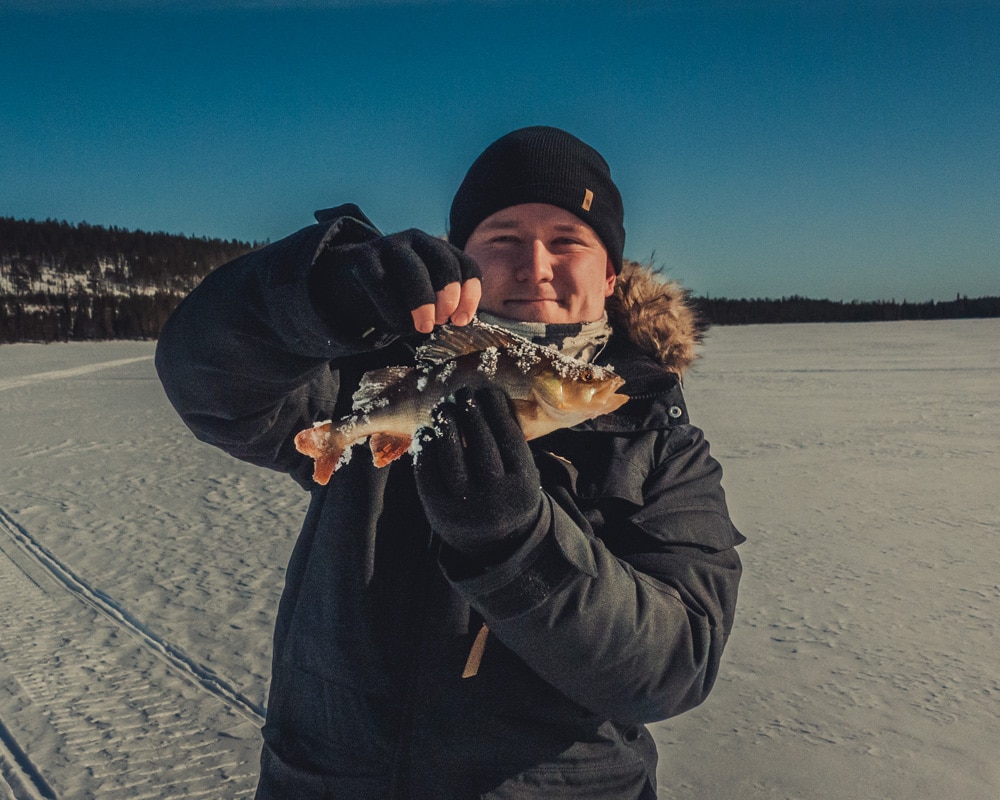 22.3.2020 Man holding European perch caught with ice fishing.