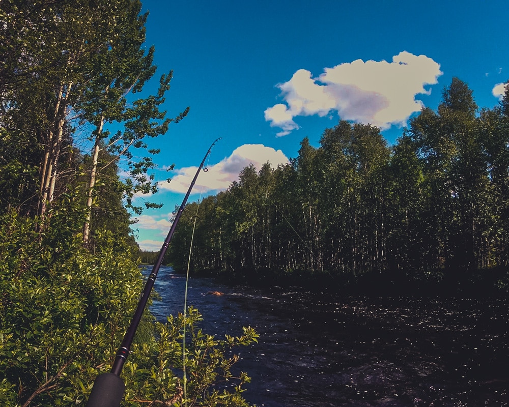 25.6.2021 Midsummer at the Arctic Circle.