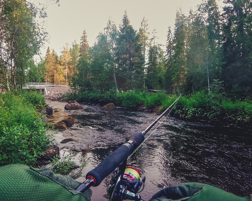 26.7.2021 Taapajoki, Finnish Lapland.