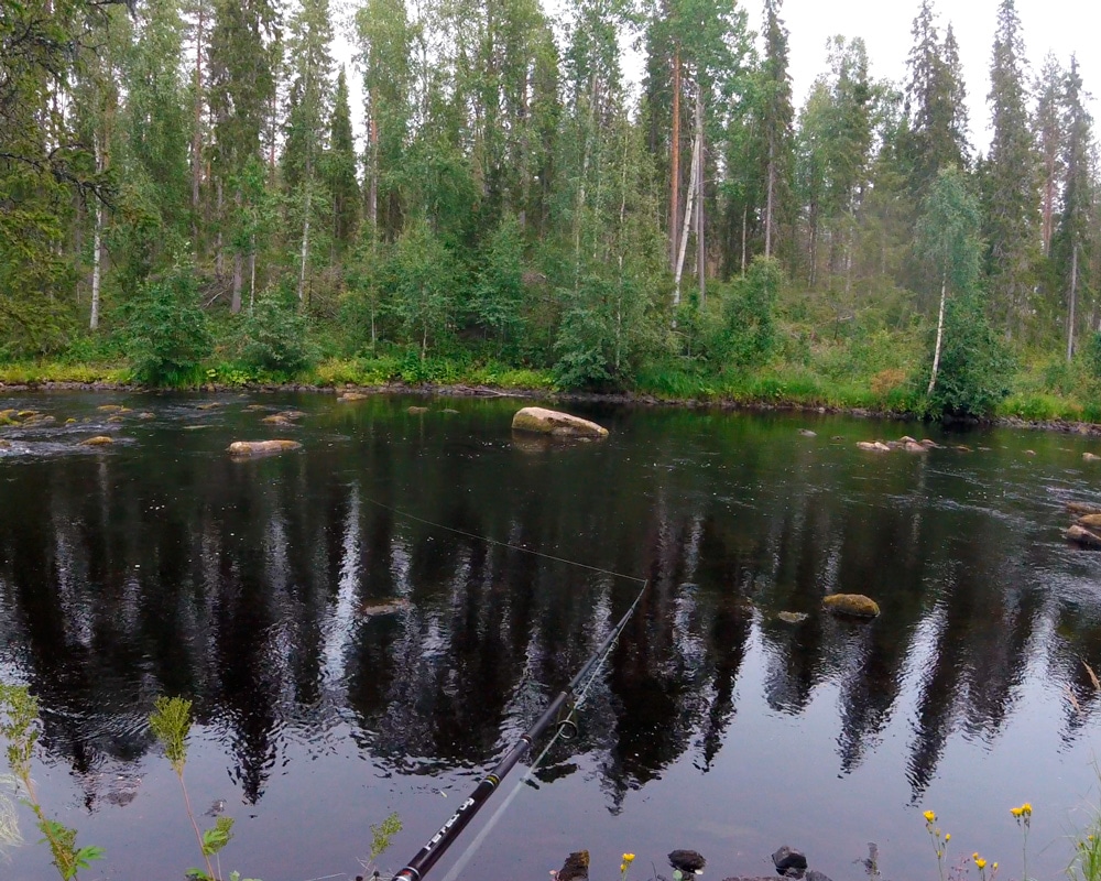 3.8.2021 Fishing for pike at Marrasjoki, Finnish Lapland.