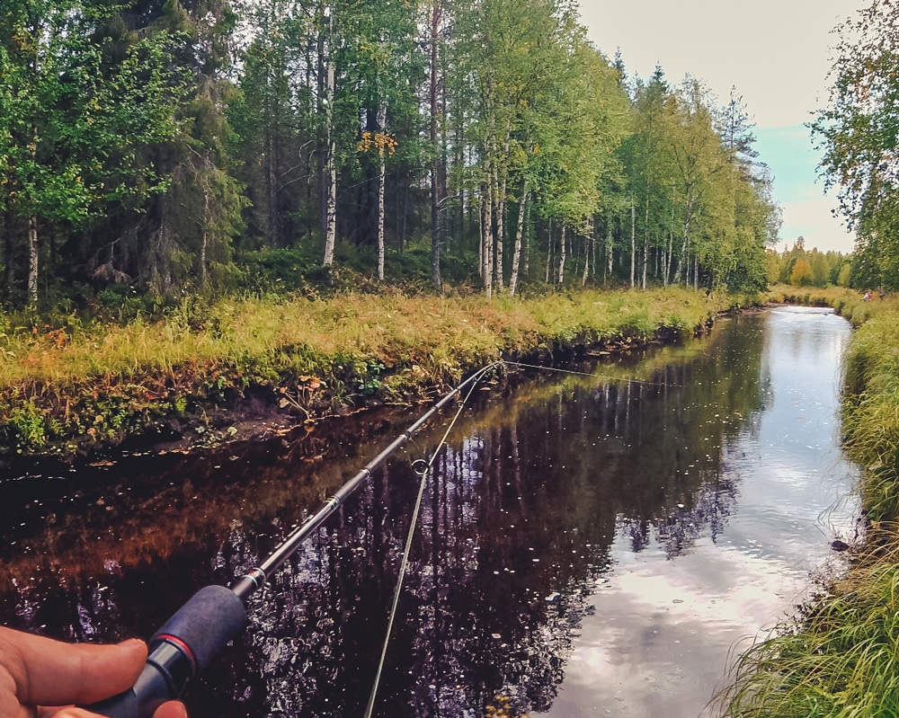 31.8.2021 Kienajajoki, Finnish Lapland.