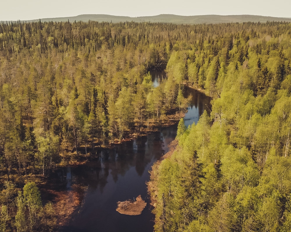 4.6.2021 Norvajoki located at the Arctic Circle.