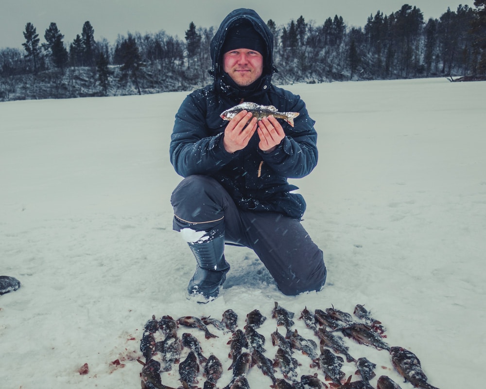 6.5.2021 Ice fishing for European perch at Inari lake.