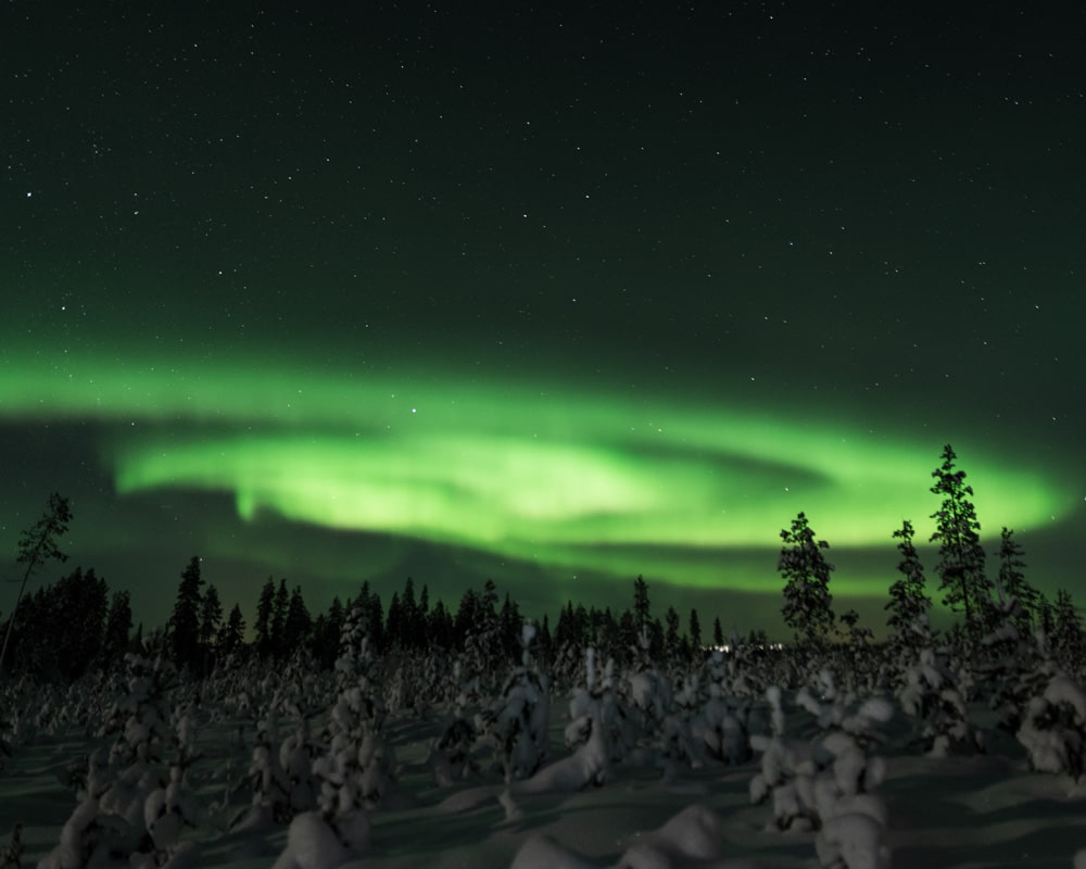 9.1.2021 northern lights at Patokoski, Finnish Lapland.