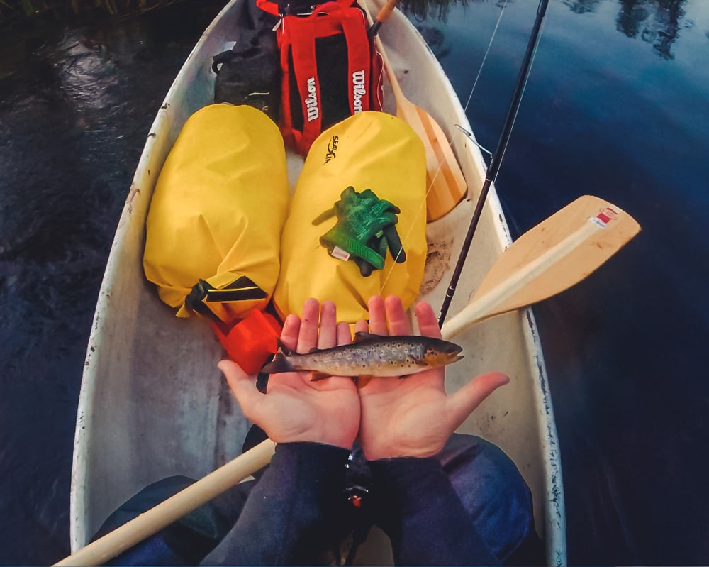 6.8.2021 Small trout from Kapsajoki, Kittilä Finland.