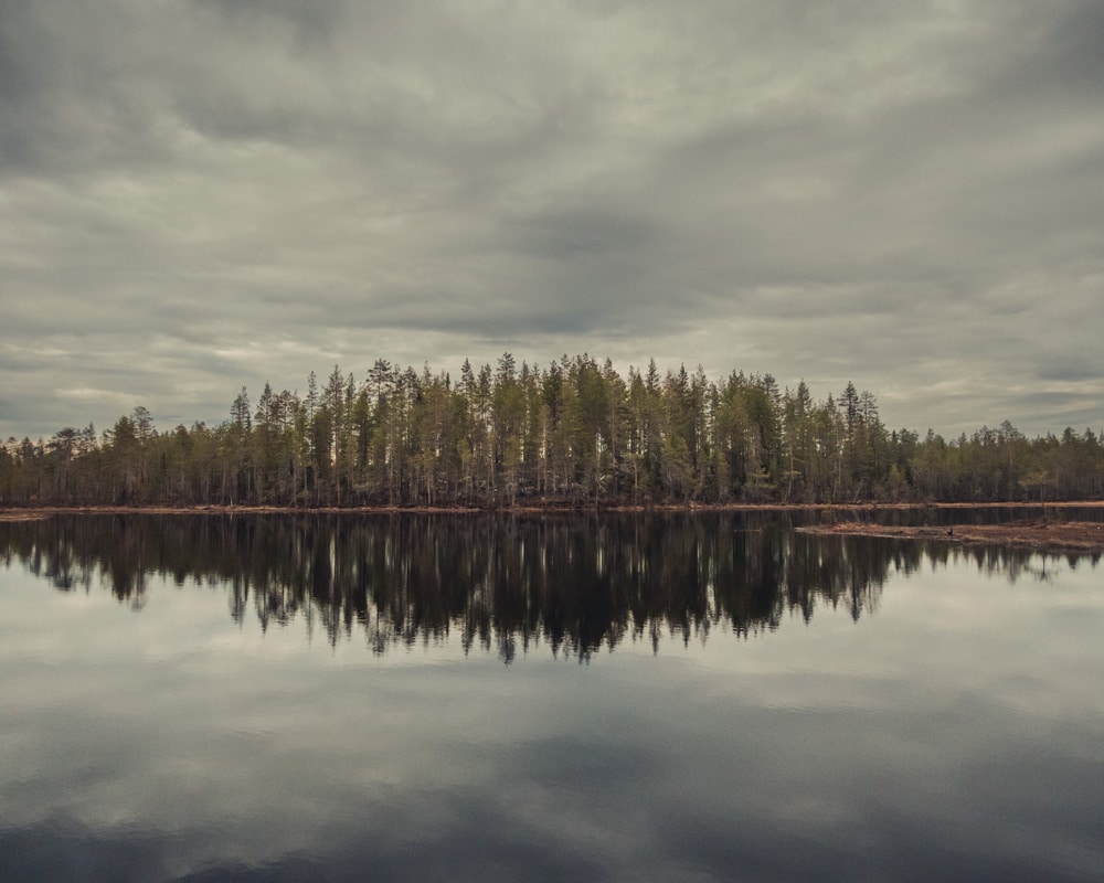 21.5.2022 Small pond with frogs at Arctic Circle Finland