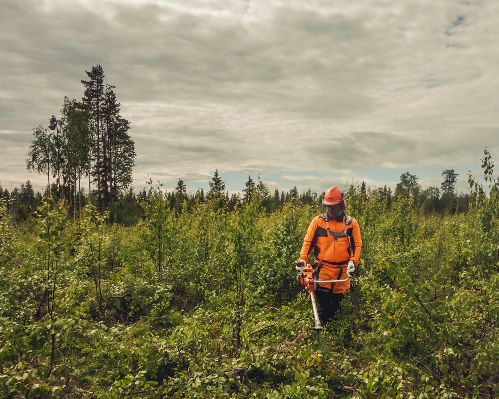 20.6.2022 Lumberjack, Finnish Lapland.