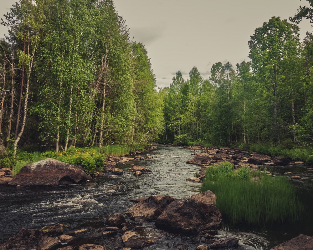 19.6.2022 Kätkäjoki, Rovaniemi Finland