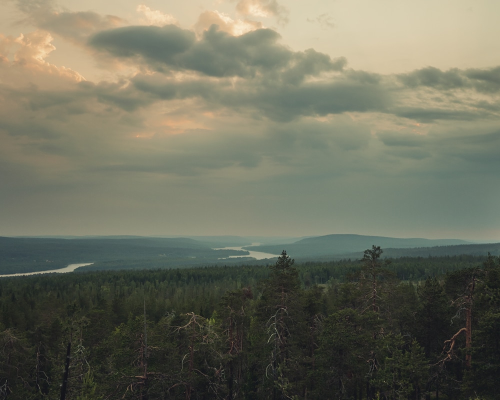 2.7.2022 Ounasjokilaakso, Rovnaniemi Finland