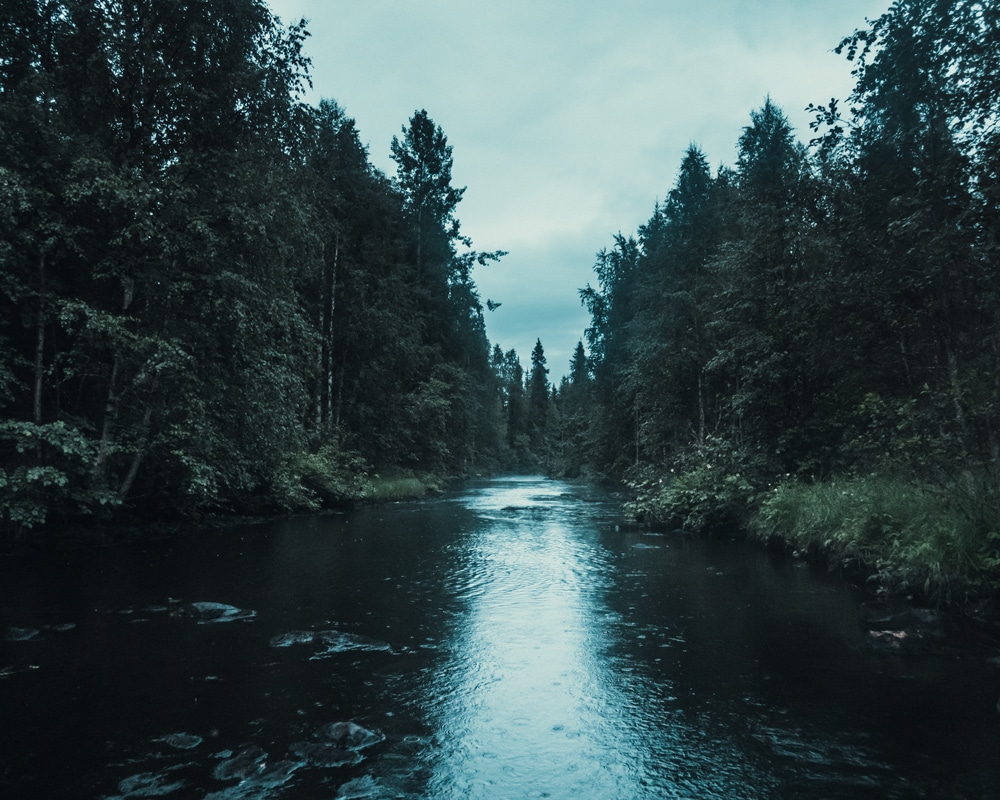 16.7.2022 Taapajoki Rovaniemi