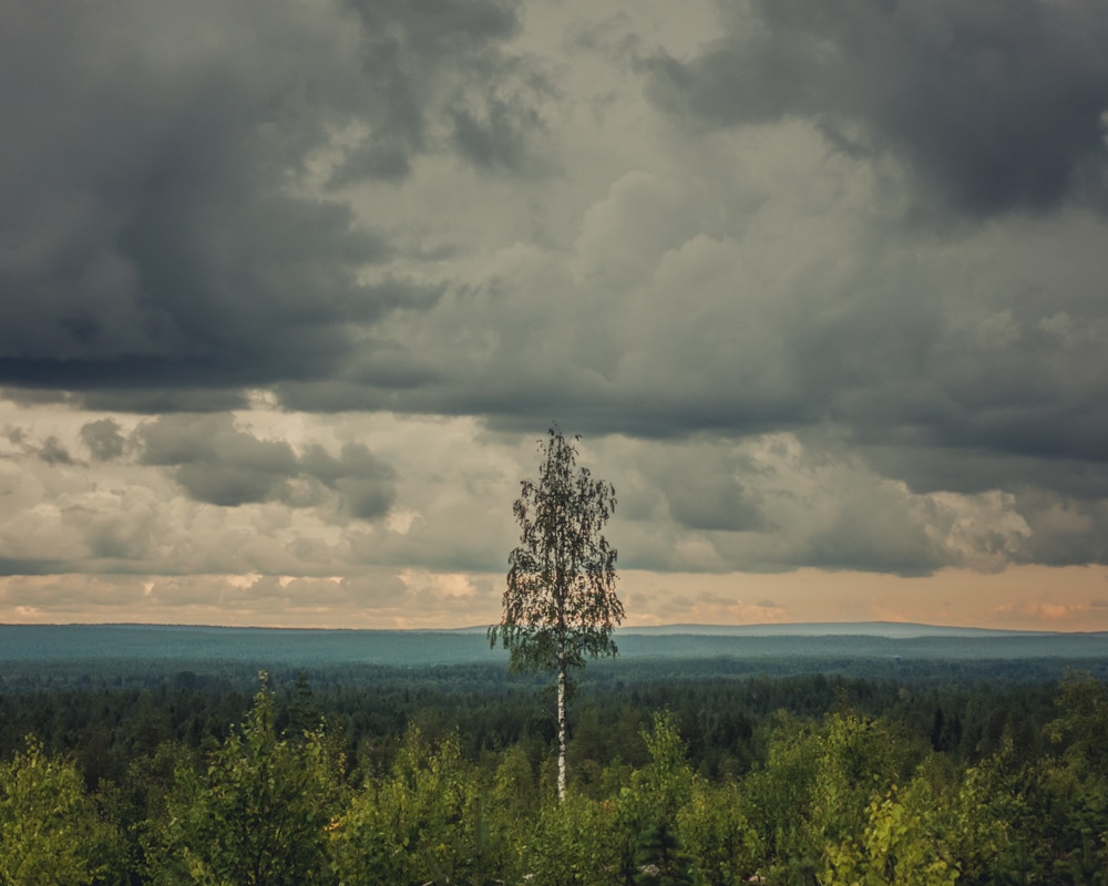 2.8.2022 Thunder in Komottavaara Rovaniemi