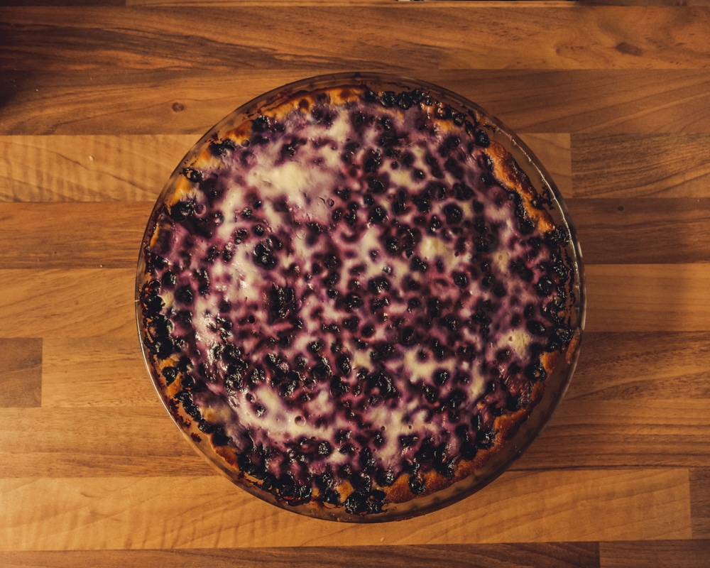 3.9.2022 Blueberrypie Lapland
