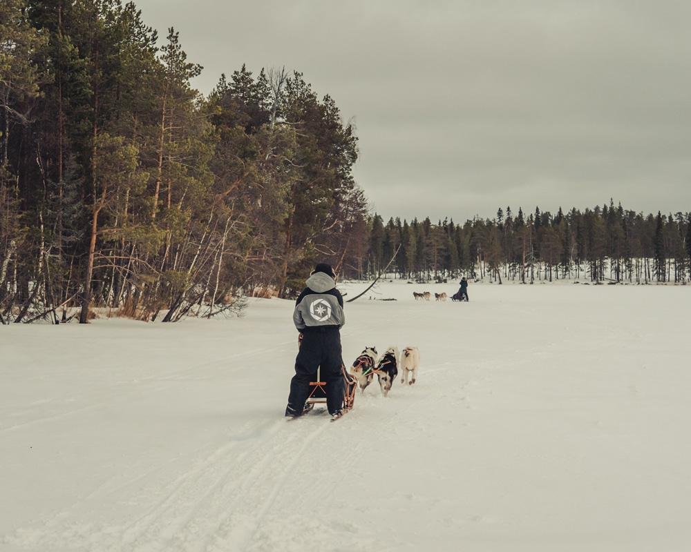 23.1.2023 Husky adventure in Sierijärvi Lapland.