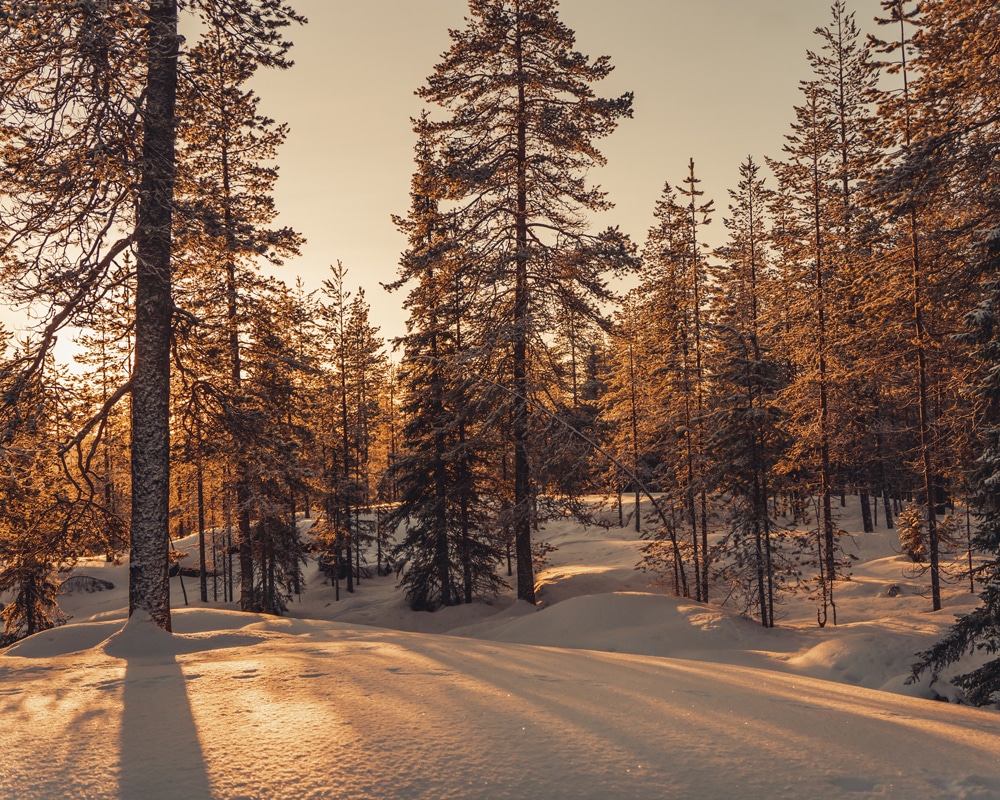 28.1.2023 Syväsenvaara in Rovaniemi Lapland.