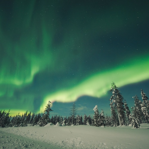 Stunning green northern lights on 1.1.2023