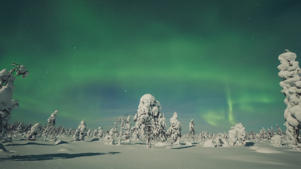 Stunning green northern lights on 1.1.2023