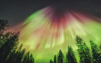 A Night to Remember: The Story of a Perfect Night